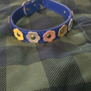 Colorful Floral Dog Collar BLUE WITH FLOWERS  UP TO 14 1/2 INCH Spring , Wedding